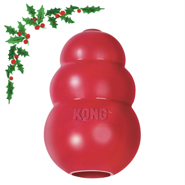 Kong